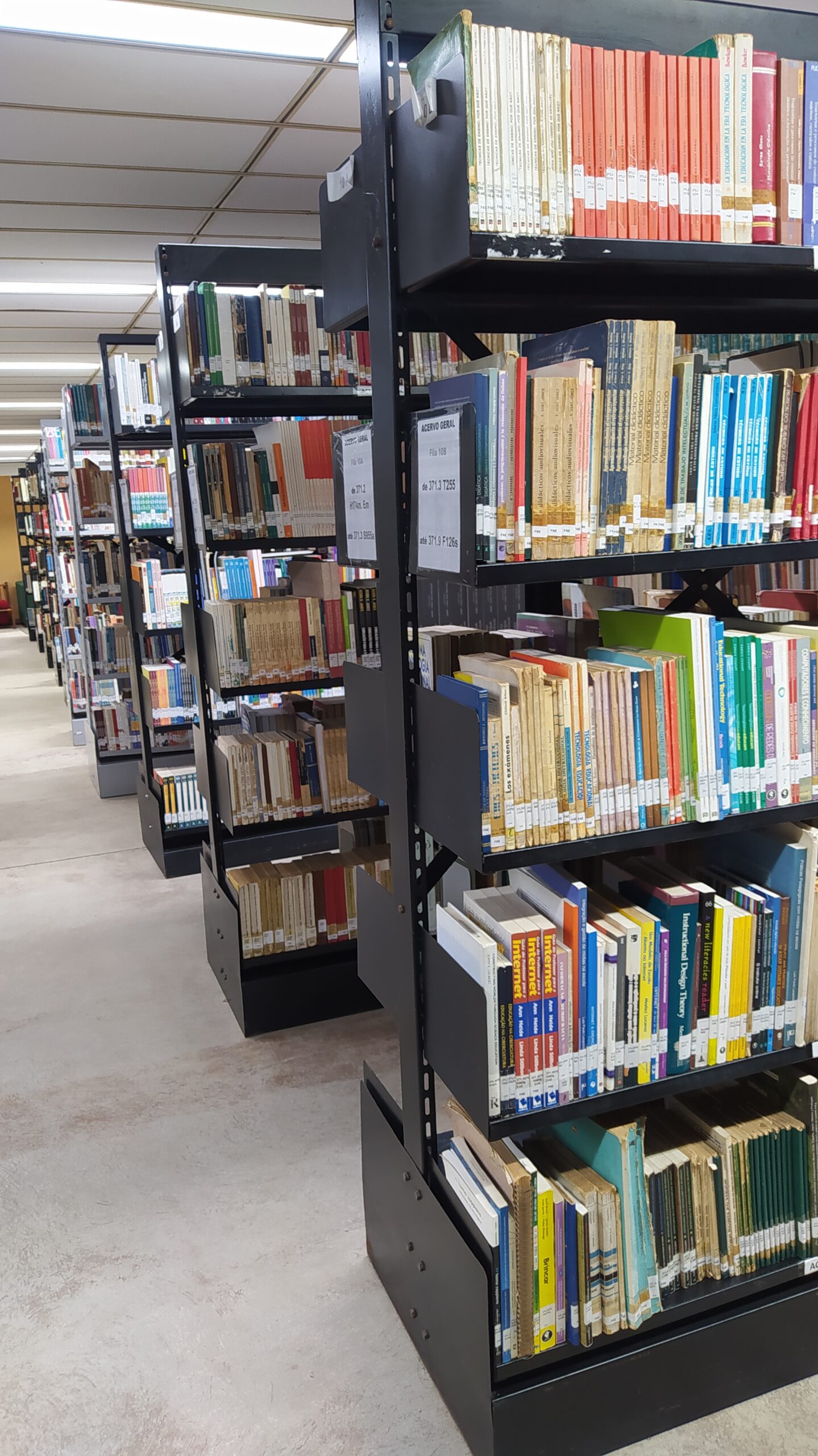 Férias na Biblioteca estão de volta